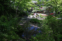 旧白毫院庭園の画像