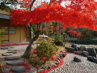 玉泉館跡地公園の画像