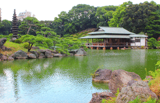 清澄庭園の画像
