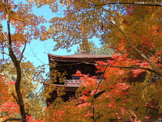 金剛輪寺の画像