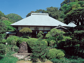 柴屋寺の画像