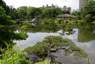縮景園の画像