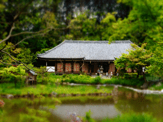 浄瑠璃寺の画像