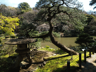 新江戸川公園の画像