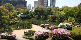 相楽園の画像