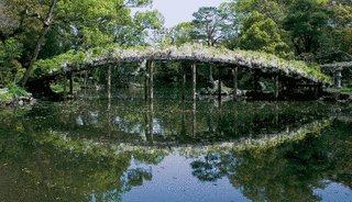 天赦園の画像