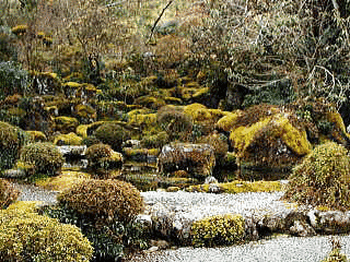 伝来寺庭園の画像