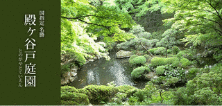 殿ヶ谷戸庭園の画像