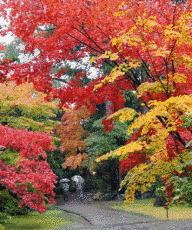 新潟市の博物館の画像