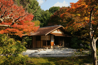 日本庭園の画像
