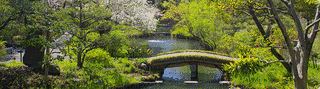 向島百花園の画像