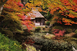吉水園の画像