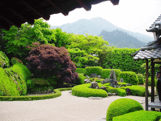 頼久寺の画像