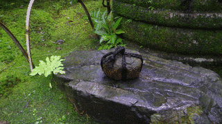 止め石の画像