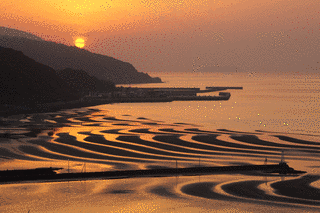 砂紋の画像