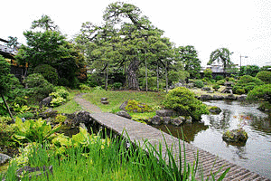 揚亀園の画像