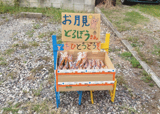 お月見泥棒の画像