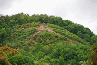名数5の画像