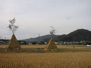 左義長の画像