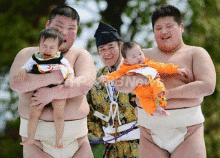泣き相撲の画像