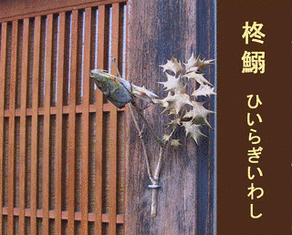 柊鰯の画像