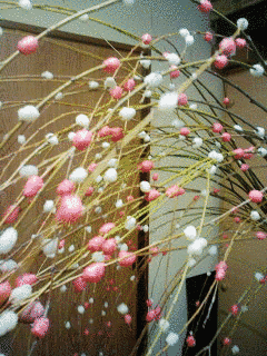 餅花の画像