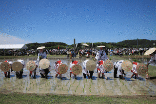 磯部の御神田の画像