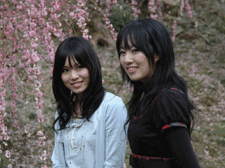 ミス津の画像