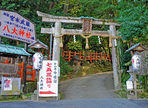 亀岡祭の画像