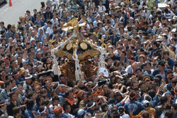 浦安三社祭の画像