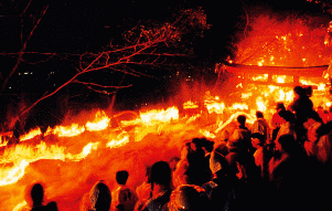 御燈祭の画像