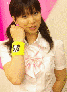 たぬまゆみの画像