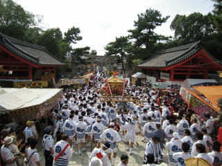 住吉祭の画像