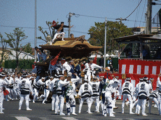 高石だんじり祭の画像