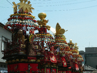 伏木曳山祭の画像