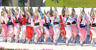 はな・はる・フェスタの画像