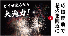 蒲郡まつり納涼花火大会の画像