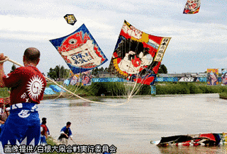 白根大凧合戦の画像