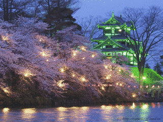 高田城百万人観桜会の画像