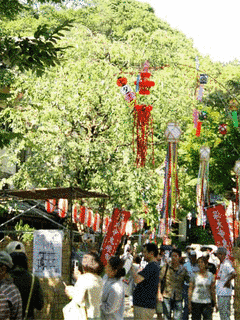 深大寺鬼燈まつりの画像
