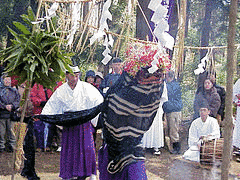松館天満宮三台山獅子大権現舞の画像