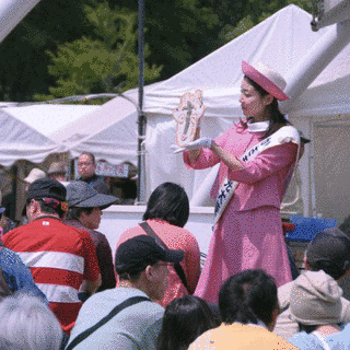 笠間の陶炎祭の画像