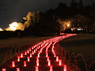 茨城県の祭りの画像