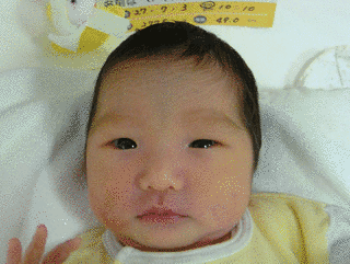 小林麻由子の画像