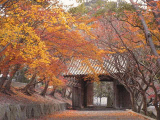 丈六寺の画像