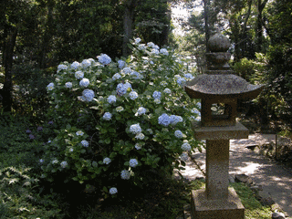 太江寺の画像