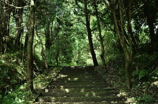玉淵寺の画像