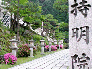 持明院の画像