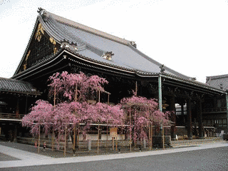 佛光寺の画像