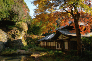 瑞泉寺の画像
